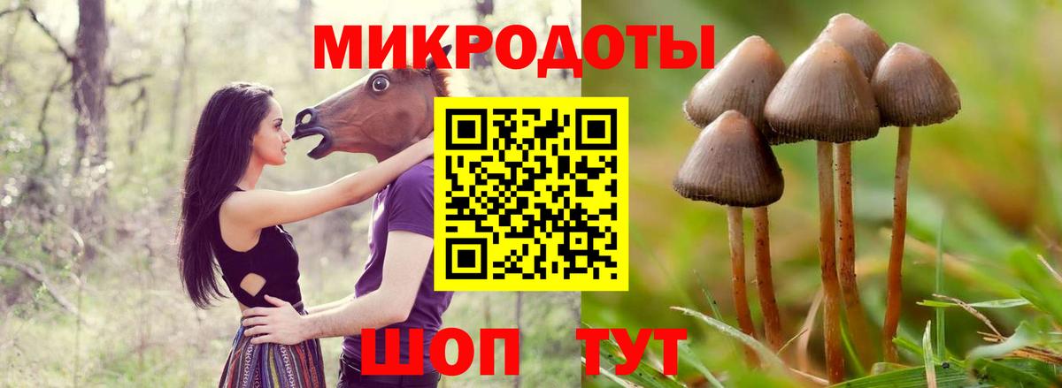 Псилоцибиновые грибы Magic Shrooms  Вход с VPN  Егорьевск  Псилоцибиновые грибы прущие грибы 