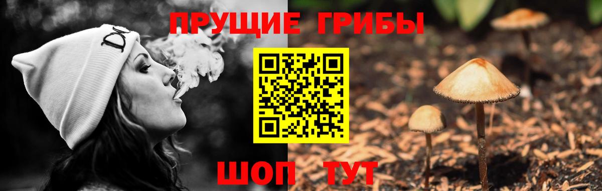 Галлюциногенные грибы прущие грибы Егорьевск